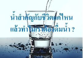 น้ำสำคัญกับชีวิตแค่ไหน แล้วทำไมเราต้องดื่มน้ำ ?