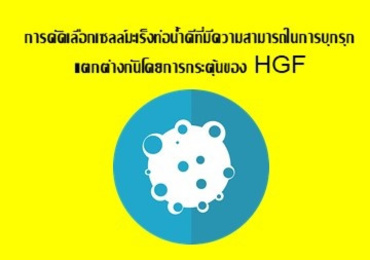 การคัดเลือกเซลล์มะเร็งท่อน้ำดีที่มีความสามารถในการบุกรุกแตกต่างกันโดยการกระตุ้นของ HGF ...