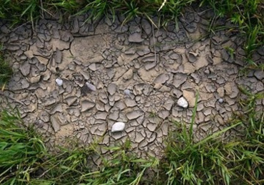 การทำนายผลกระทบของปริมาณโลหะหนักในดินตะกอนต่อสิ่งมีชีวิตในบริเวณเขื่อนลำตะคอง ...