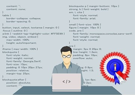 การแข่งขันพัฒนาโปรแกรมคอมพิวเตอร์แห่งประเทศไทย (National Software Contest)