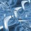 เรียนรู้ข้อมูลเกี่ยวกับ DNA ต่อการตรวจทางนิติวิทยาศาสตร์