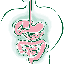 สาระสำคัญ
การย่อยอาหาร (Digestion) คือ การแปรสภาพของสารอาหารที่มีโมเลกุลขนาดใหญ่ให้มีโมเลกุลเล็กลงเพื่อดูดซึมเข้าสู่เซลล์ของร่างกายได้
