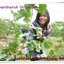 ขวัญชนก ศิริบุรี