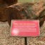 http://www.scimath.org/images/groupphotos/207/96/thumb_6dc48838897fdbb76a3d1993.jpg
