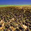 สาหร่ายสโตรมาโตไลต์ (Stromatolite)