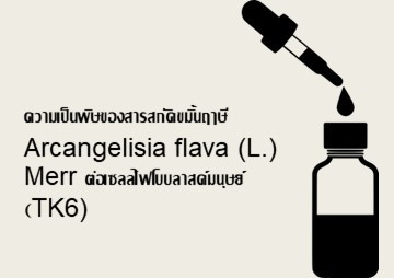 ความเป็นพิษของสารสกัดขมิ้นฤๅษี Arcangelisia flava (L.) Merr ... รูปภาพ 1