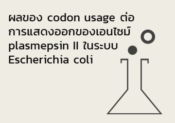 ผลของ codon usage ต่อการแสดงออกของเอนไซม์ plasmepsin II ... รูปภาพ 1