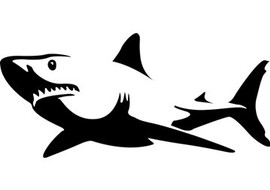 รู้ไหม? ฉลามใช้ “แผนที่จิตใจ” นำทาง รูปภาพ 1