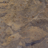 หินโดโลไมต์ รูปภาพ 2