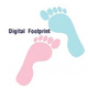 ร่องรอยดิจิทัล (Digital footprint)