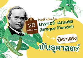Gregor Mendel บิดาแห่งพันธุศาสตร์