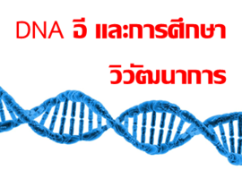 DNA อี และการศึกษาวิวัฒนาการ