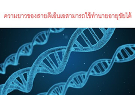 ความยาวของสายดีเอ็นเอสามารถใช้ทำนายอายุขัยได้