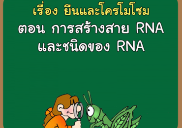 เรื่อง ยีนและโครโมโซม ตอน การสร้างสาย RNA และชนิดของ RNA