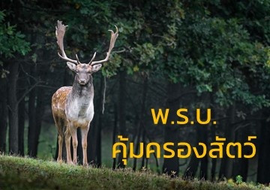 พ.ร.บ.คุ้มครองสัตว์ ฉบับแรกของประเทศไทย มีผลบังคับใช้แล้วตั้งแต่ 27 ธันวาคม 2557