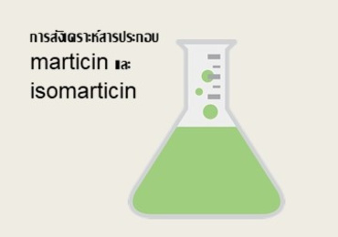 การสังเคราะห์สารประกอบ marticin และ isomarticin
