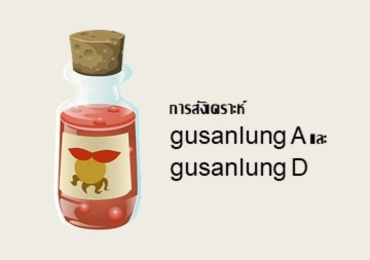 การสังเคราะห์ gusanlung A และ gusanlung D
