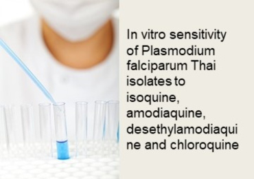 In vitro sensitivity of Plasmodium falciparum Thai isolates  ...