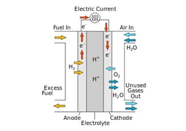 เซลล์เชื้อเพลิง (Fuel cells)