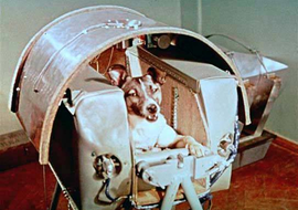 สุนัขตัวแรกบนอวกาศ