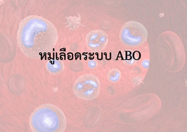 แอนิเมชัน : หมู่เลือดระบบ ABO
