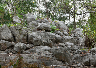 หินปูนที่มีซากดึกดำบรรพ์ (fossilliferous limestone)