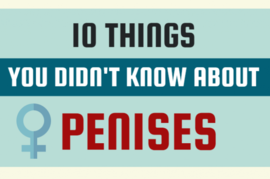 10 เรื่องมหัศจรรย์เกี่ยวกับน้องชาย (Penis)