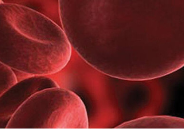 ธาลัสซีเมีย (Thalassemia) และการถ่ายทอดทางพันธุกรรม
