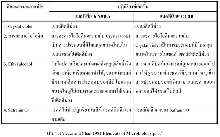 ตารางแสดงปฏิกิริยาที่เกิดขึ้นจากการย้อมสีแบบแกรม