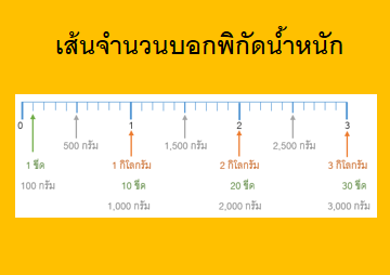 เส้นจำนวนบอกพิกัดน้ำหนัก เส้นจำนวนบอกพิกัดน้ำหนัก
