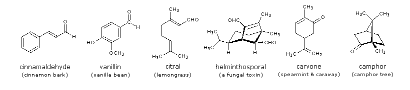 7851 5