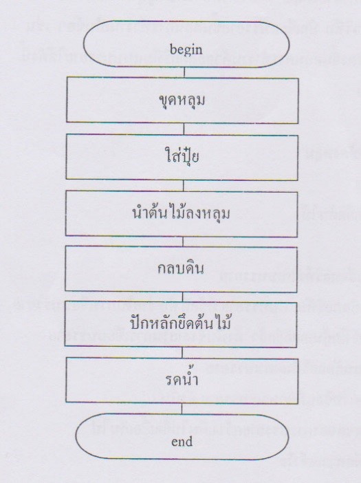 อัลกอริทึมและผังงานเบื้องต้น อัลกอริทึมและผังงานเบื้องต้น