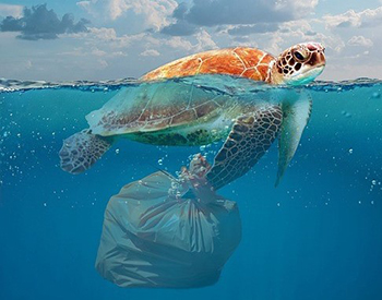 ขยะพลาสติกเป็นภัยร้ายต่อทะเล