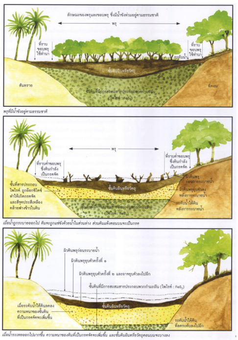 soil 05