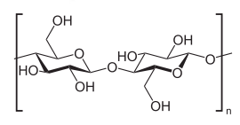 biochar 01