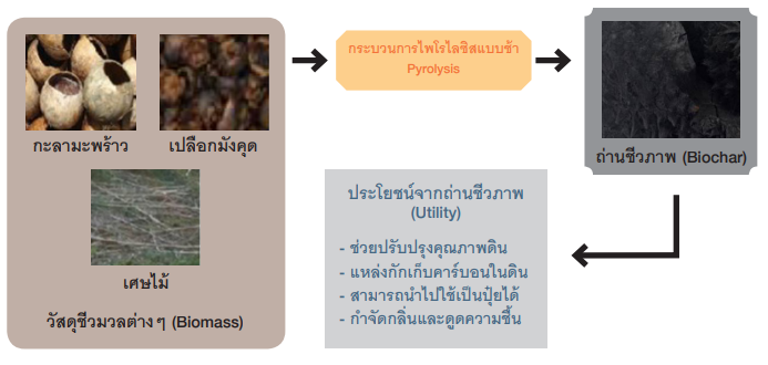 biochar 04