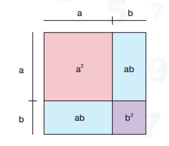 math mind01