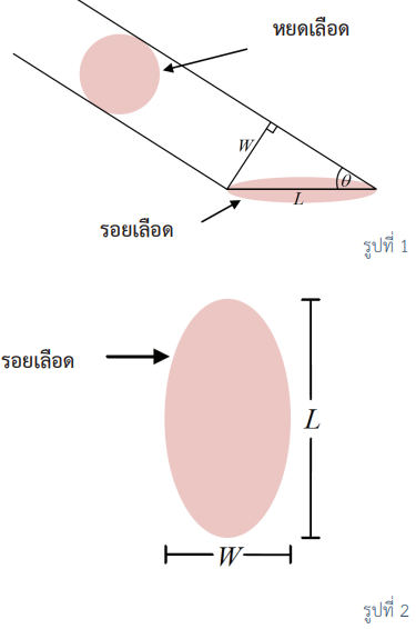 MathCSI 01