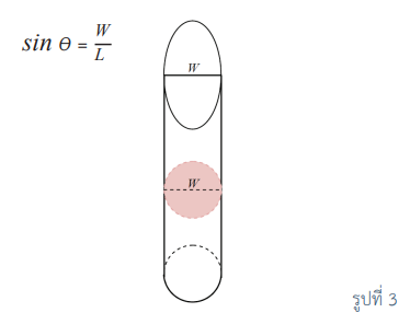 MathCSI 02