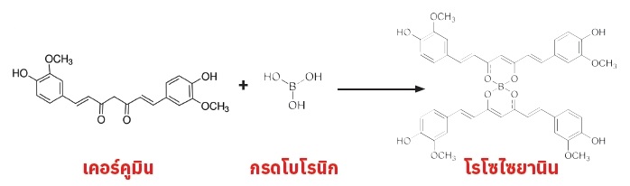 โรโซไซยานิน (Rosocyanine)