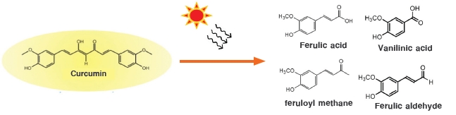 เมื่อสารเคอร์คูมินถูกแสงแดด จะทำให้โครงสร้างหลักของสารถูกทำลายเปลี่ยนเป็นสารที่ไม่มีสี