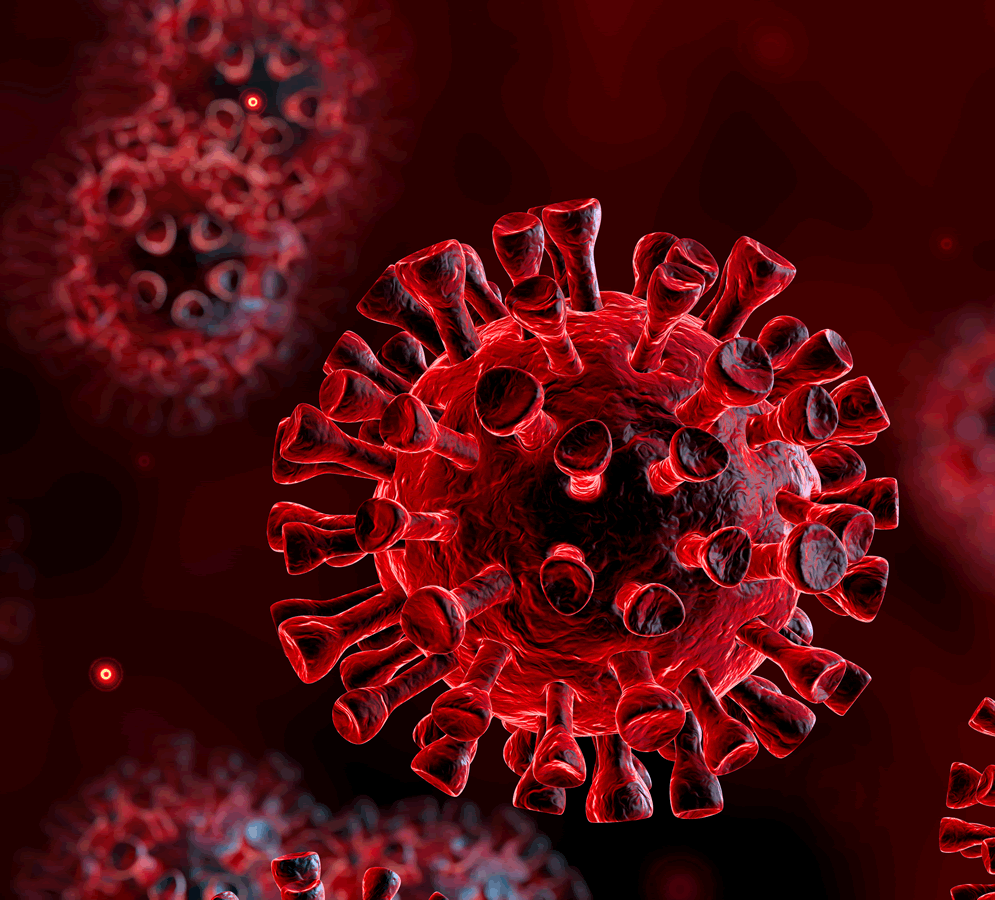 Coronavirus 2 (SARS-CoV-2)