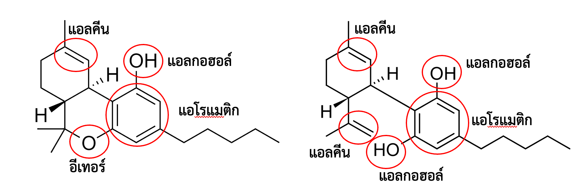 หมู่ฟังก์ชันของ THC และ CBD