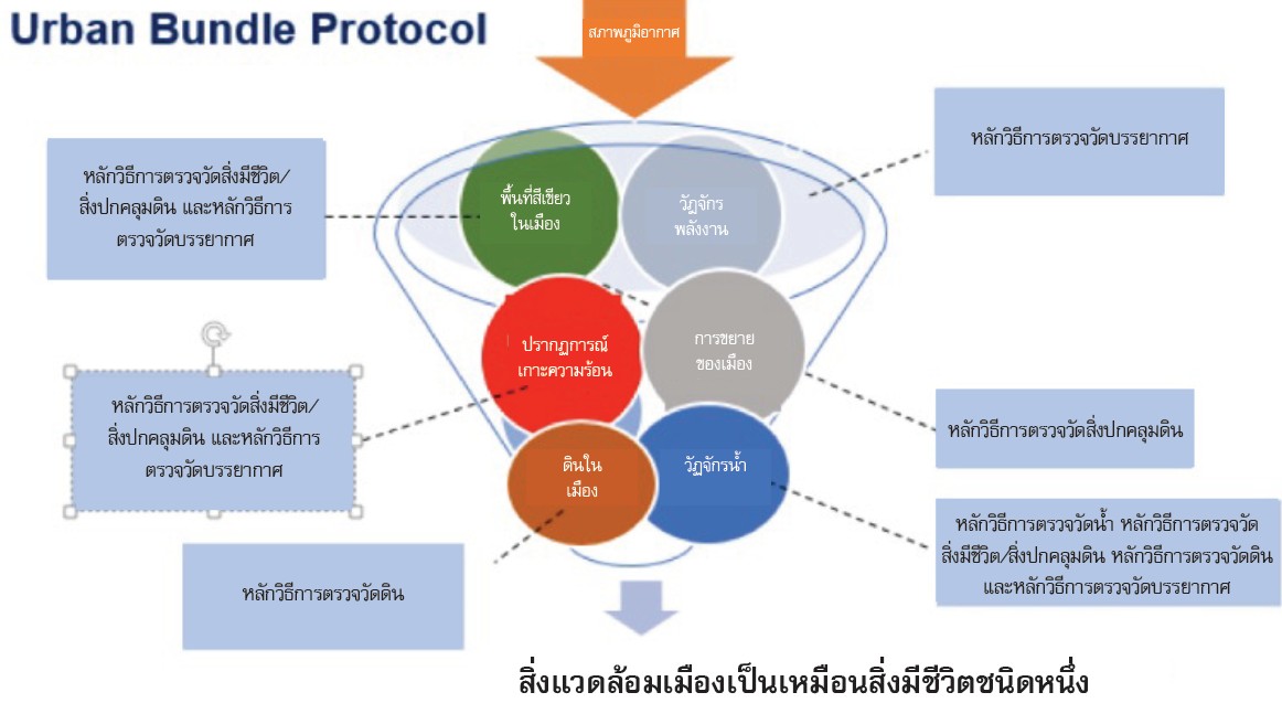 ประเด็นศึกษาวิจัยเกี่ยวกับเมือง ที่มา: GLOBE Program (2024)