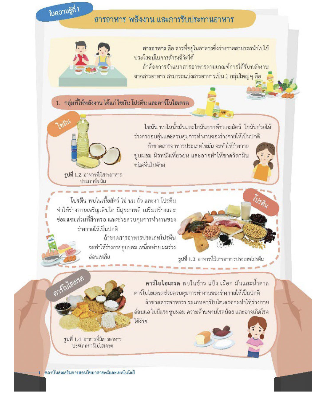 ใบความรู้เรื่องสารอาหาร พลังงาน และการรับประทานอาหาร 1