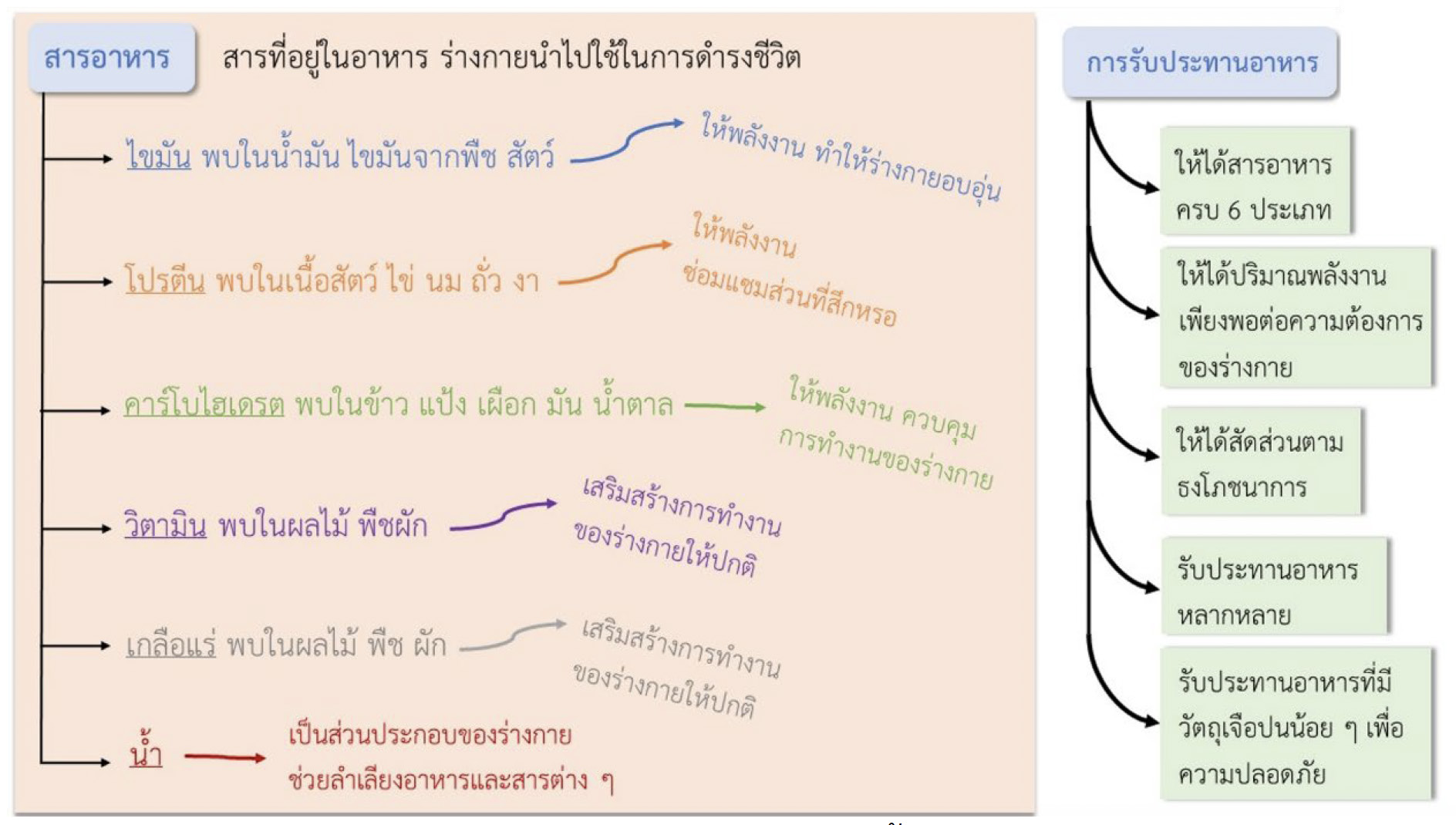 การเน้นข้อความสำคัญขณะอ่านเนื้อหาในใบความรู้อย่างละเอียด