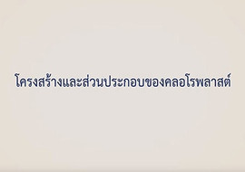 แอนิเมชัน : โครงสร้างและส่วนประกอบของคลอโรพลาสต์ พารามิเตอร์รูปภาพ 1