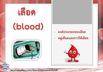 ไฟล์งานนำเสนอ : เลือด พารามิเตอร์รูปภาพ 1