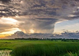ฤดูกาลที่แตกต่าง พารามิเตอร์รูปภาพ 1
