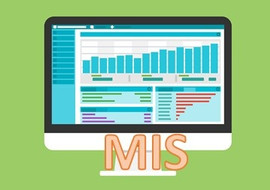 มารู้จัก ระบบสารสนเทศเพื่อการจัดการ (MIS) ... พารามิเตอร์รูปภาพ 1